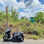 Hàng ngộp trục chính biệt thự Tây Đô Ecopark đường Số 19 - Giá tốt - Ảnh thu nhỏ 15
