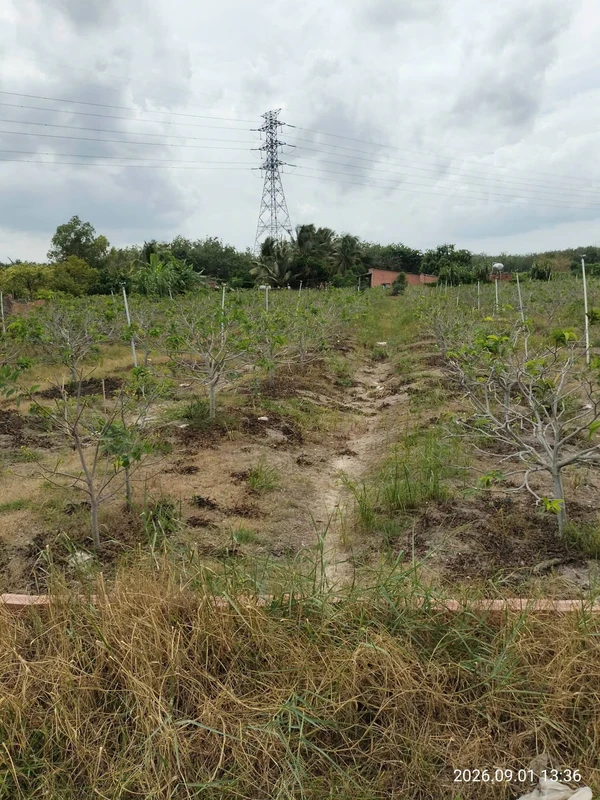 Bán đất 150m² Tây Ninh, view núi, 250 triệu