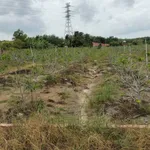 Bán đất 150m² Tây Ninh, view núi, 250 triệu - Ảnh thu nhỏ 1