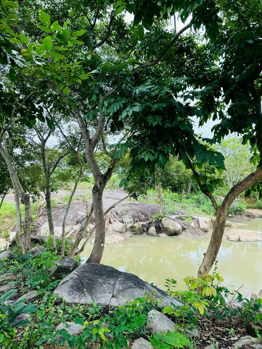 Bán đất 2ha An Ngãi Long Điền 10 tỷ 400 - Ảnh thu nhỏ 5