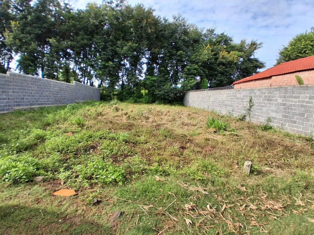 Bán lô đất 15x26m hẻm 369 Nguyễn Thị Định, Phường Thành Nhất, Buôn Ma Thuột, giá 1,35 tỷ - Ảnh thu nhỏ 4