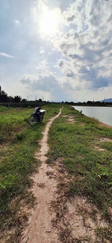 Bán đất cây trồng 180m² sổ riêng gần Phan Thiết