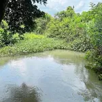 Bán 3000m² đất vườn sầu riêng Bàu Hàn Đồng Nai - Ảnh thu nhỏ 2