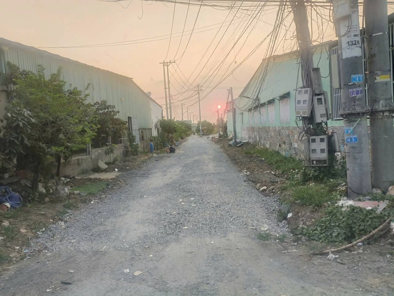 Bán lô đất vườn 3000m² mặt kênh, Bến Lức, Long An - Ảnh 1