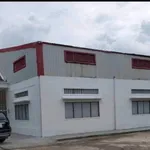 Bán kho xưởng 14.000m2 đất sản xuất Châu Thành Long An - Ảnh thu nhỏ 3