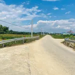Bán vườn cau Cần Giờ 2000m2, 1 tỷ, sát cầu Phước Lộc - Ảnh thu nhỏ 2