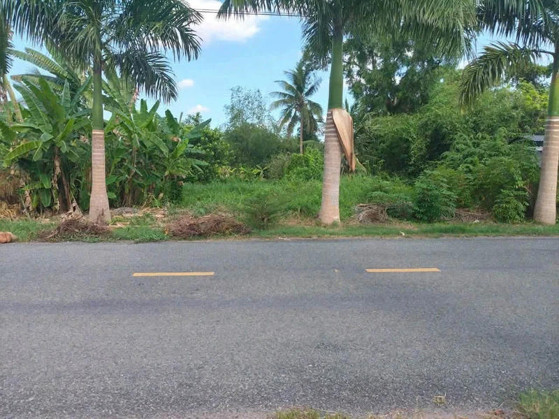 Bán đất mặt tiền 459m² trung tâm Tân Trụ 4 tỷ
