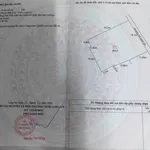 Bán đất 483,7m2 mặt tiền đường xe hơi Bến Lức, Long An - Ảnh thu nhỏ 3