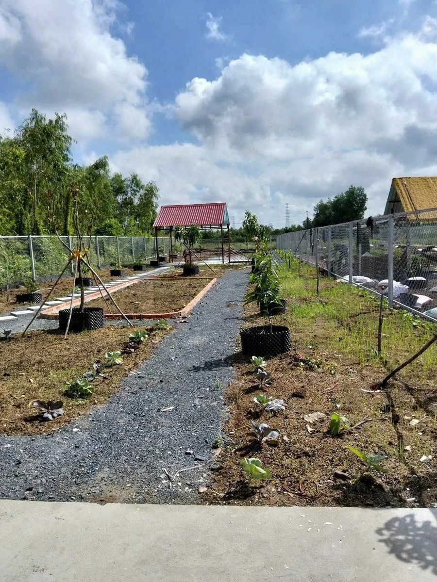Bán nhà vườn 1000m² Thủ Thừa, Long An giá 1,199 tỷ - Ảnh thu nhỏ 5