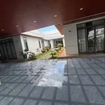 Bán nhà sân vườn 905m² 3 PN 5 WC Bến Tre 8 tỷ 500 triệu - Ảnh thu nhỏ 1