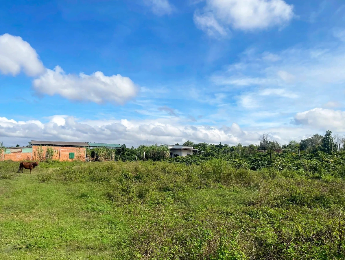 Bán đất nông nghiệp 1.800m² ở Eakao, Đắk Lắk 1,15 tỷ - Ảnh thu nhỏ 4