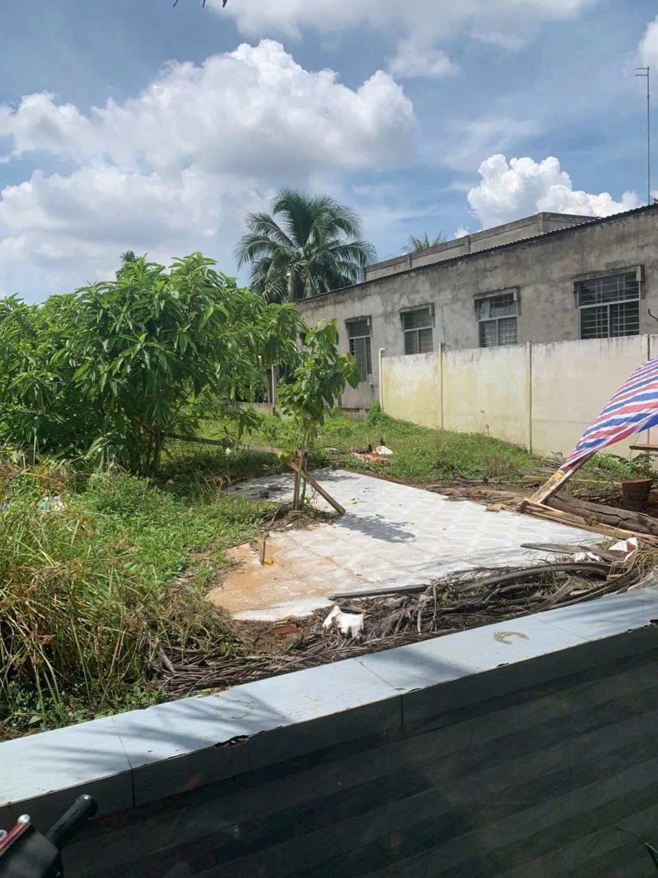 Bán đất 200m² tại Thị Trấn Châu Thành, Tiền Giang, 490 triệu - Ảnh 1