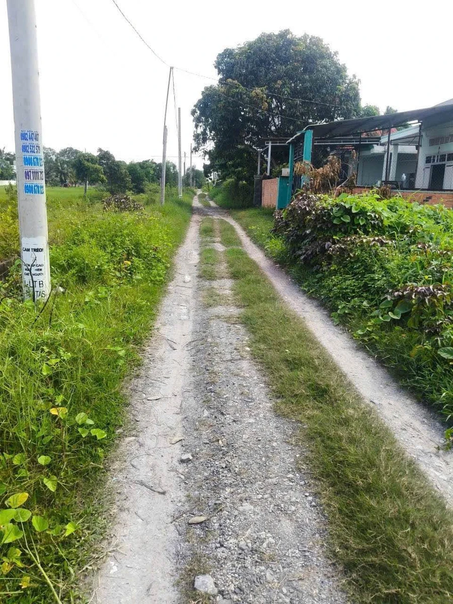 Bán 1760m2 đất vườn sổ hồng riêng gần TL824, xã Mỹ Hạnh, giá 4,4 tỷ - Ảnh thu nhỏ 4