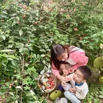 Bán nhà vườn 1PN 525m2 Mỹ Đình Hà Nội 4 tỷ - Ảnh thu nhỏ 1