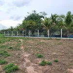 Bán đất thổ cư 5x65m Phước Thạnh Tây Ninh 330 triệu - Ảnh thu nhỏ 3