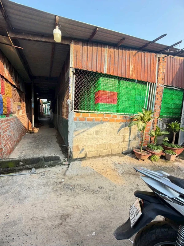 Bán đất 60m² giá 199 triệu tại Phú Thuỷ