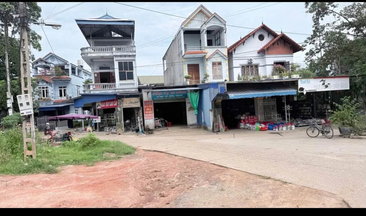 Bán lô đất gần 1.000m² Tích Lương, Bình Chánh, giá 2 tỷ - Ảnh thu nhỏ 4