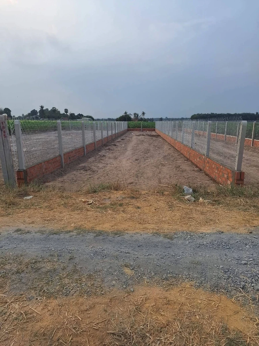 Bán đất nền 5x38m (190m²) 340 triệu ở xã Long Thuận - Ảnh thu nhỏ 3