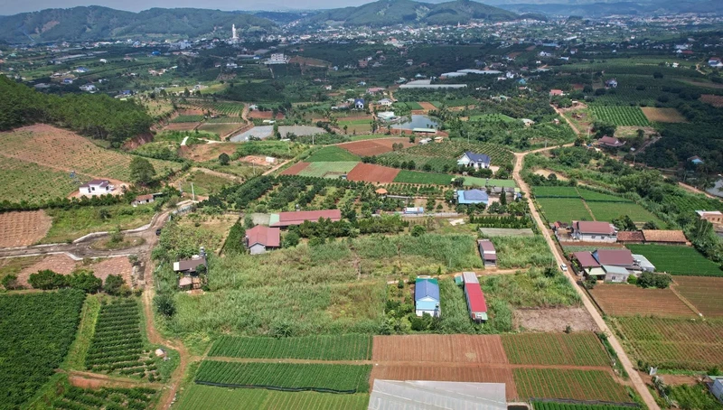 Bán 5 thửa đất vườn ở Nam Ban, Lâm Hà, 485–933 m²
