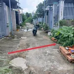 Bán đất Tân Triều Đồng Nai 110m² 1 tỷ 170 triệu - Ảnh thu nhỏ 3