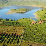 Bán mảnh đất siêu đẹp tại xã Krông Bông, Đắk Lắk, giá siêu tốt chỉ 250 triệu, 2.500m2 view hồ - Ảnh thu nhỏ 1