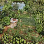 Bán vườn sinh thái Ea Kao 3.866m² giá 8 tỷ - Ảnh thu nhỏ 1
