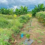Bán lô đất 4.500 m2 tại Ea Nước, Đắk Lắk - Ảnh thu nhỏ 5