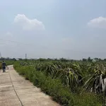 Bán lô đất 432m2 giá 388 triệu Lâm Đồng - Ảnh thu nhỏ 2