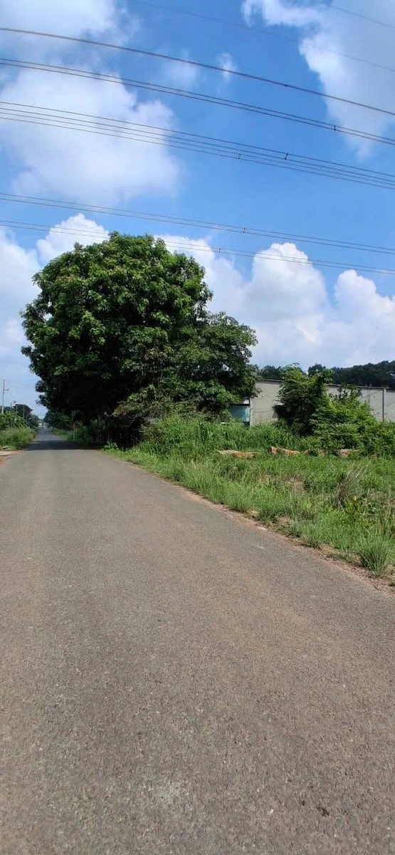 Bán đất nhà vườn Tân Khai 9.445m² - 7 tỷ - Ảnh thu nhỏ 2
