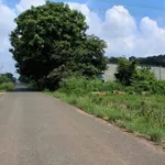 Bán đất nhà vườn Tân Khai 9.445m² - 7 tỷ - Ảnh thu nhỏ 2