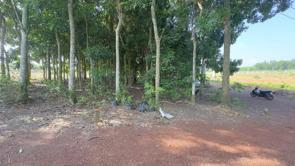 Bán lô đất 500m² gần hồ Trị An, Đồng Nai, 450 triệu - Ảnh thu nhỏ 2