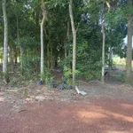 Bán lô đất 500m² gần hồ Trị An, Đồng Nai, 450 triệu - Ảnh thu nhỏ 2