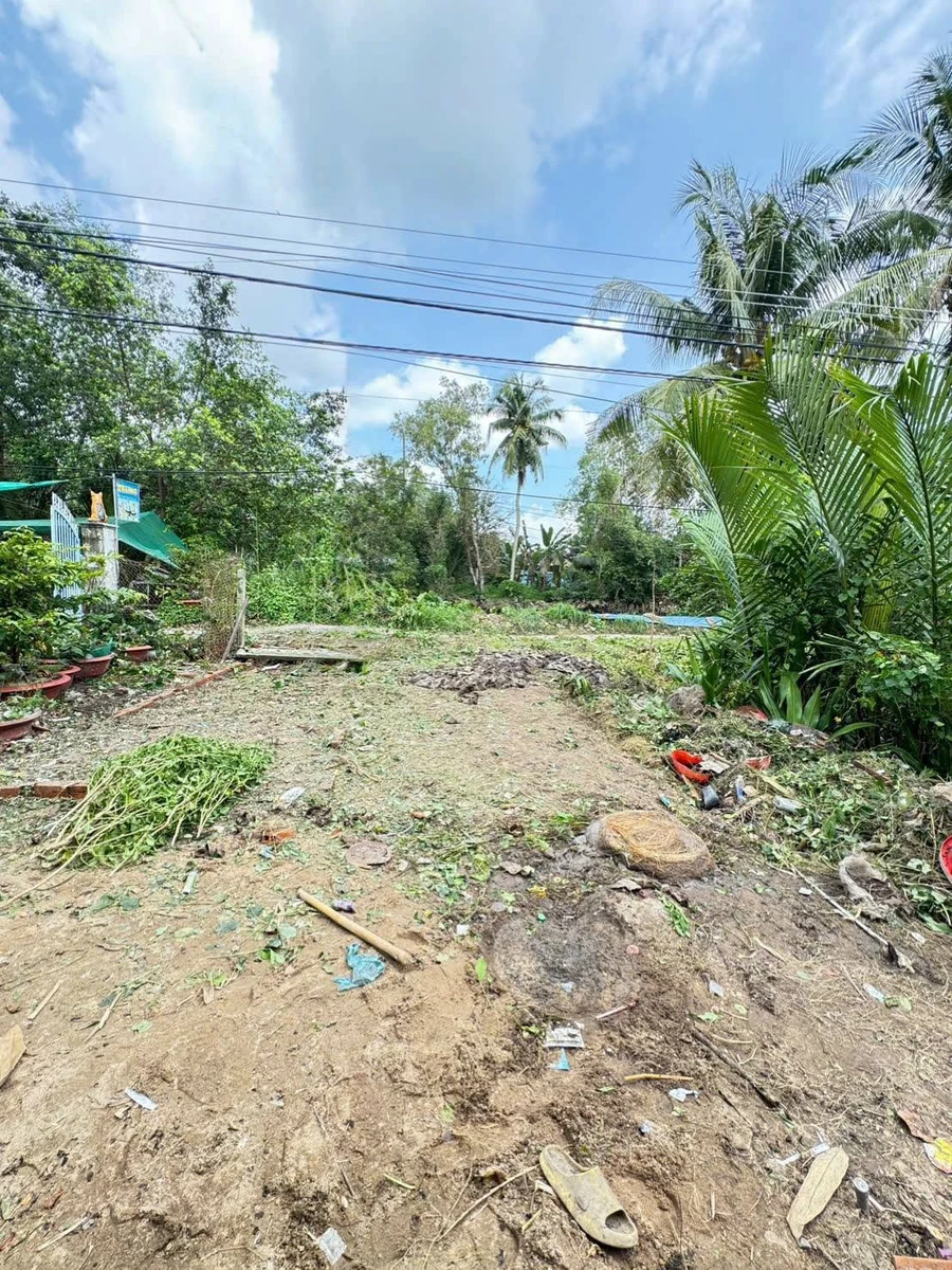 Bán nền 310m² tặng nhà cũ Giai Xuân Phong Điền Cần Thơ - Ảnh thu nhỏ 3