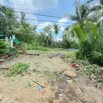 Bán nền 310m² tặng nhà cũ Giai Xuân Phong Điền Cần Thơ - Ảnh thu nhỏ 3