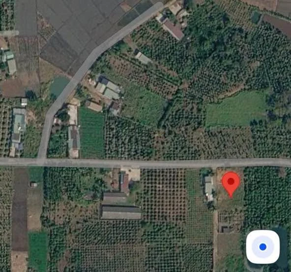 Bán đất 500m² Bình Chánh 520 triệu, sổ riêng - Ảnh thu nhỏ 3