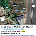 Bán đất mặt tiền QL 1A Hàm Đức 243m2 Phan Thiết - Ảnh thu nhỏ 3
