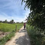 Bán đất vườn 544m² Tây Ninh - Sổ hồng riêng 680 triệu - Ảnh thu nhỏ 3