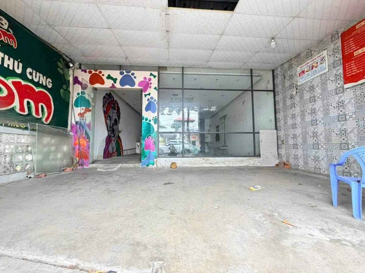 Bán nhà 2 mặt tiền Đường 4 Trương Định, Đồng Nai, 193m², 14.2 tỷ - Ảnh thu nhỏ 3
