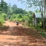Bán lô đất vườn 4 sào gần Bình Long, Bình Phước - Ảnh thu nhỏ 3