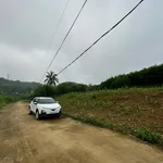 159m² Thọ Sơn Triệu Sơn | đường rộng 7m | view cánh đồng | sát KCN Lam Sơn - Ảnh thu nhỏ 5