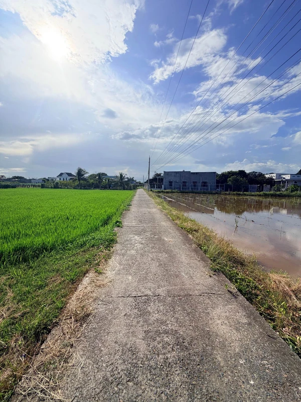 Bán 3 lô đất liền kề Kim Bình Hàm Thắng 500m2, 500 triệu/lô