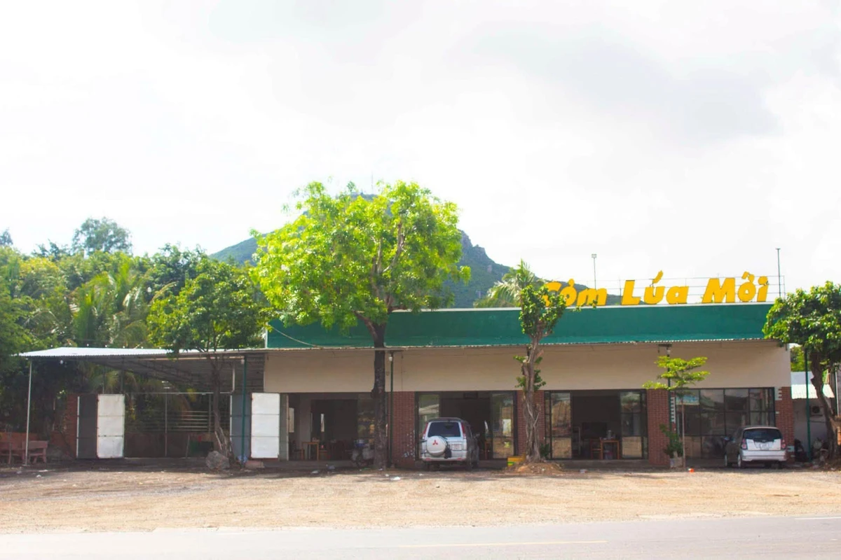Bán quỹ đất 2.000m² 2 mặt tiền QL1A Bình Kiến 21 tỷ - Ảnh thu nhỏ 5