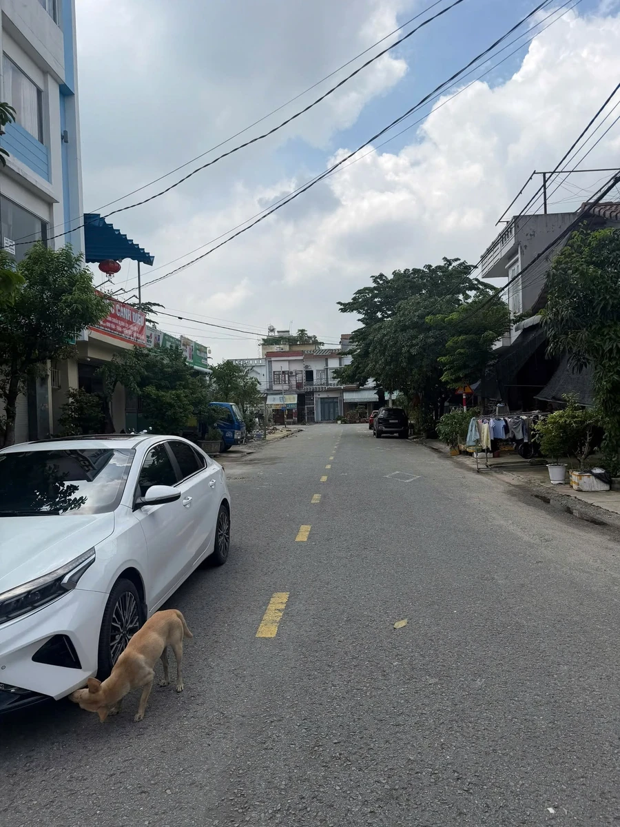 Bán đất 10x30 (300m²) VSIP1 Bình Dương 8 tỷ 399 triệu - Ảnh thu nhỏ 3