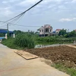 Bán lô đất 107,5m² mặt 5m Ninh Giang 1 tỷ 2 - Ảnh thu nhỏ 3