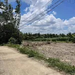 Bán đất vườn 1540m² Vĩnh Công Tây Ninh 990 triệu - Ảnh thu nhỏ 2