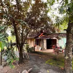 Bán đất vườn cây ăn trái 1.738m² Đồng Nai 380 triệu - Ảnh thu nhỏ 2