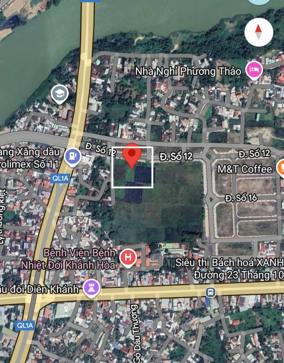 Bán đất lúa mặt tiền đường nhựa 20m, 915m2 tại Phú Ân Nam, Diên An, Khánh Hòa - Ảnh 1