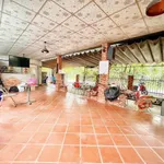 Bán lô đất góc 2 mặt tiền 112m² có quán cafe, Tây Ninh - Ảnh thu nhỏ 5