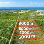 Bán 4,4 ha đất rừng sản xuất ven biển Phong Phú, Huế, giá 395 triệu/ha - Ảnh thu nhỏ 1