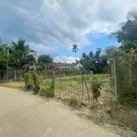 Bán đất Diên Phú 398m² ngang 15m, 2 tỷ - Ảnh thu nhỏ 1
